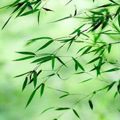 前方有怪go手游