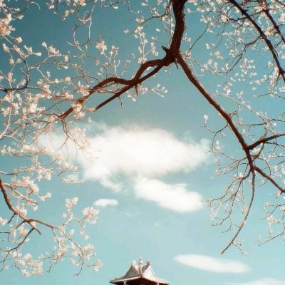梦回仙语手游下载